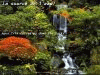 cascade2