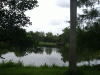 le p'tit lac II2